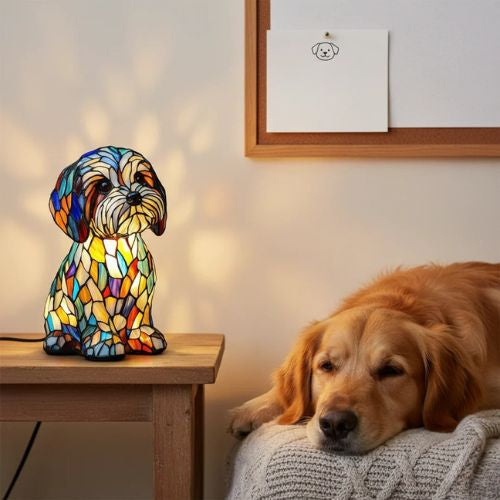 O Kouzlo Společnosti