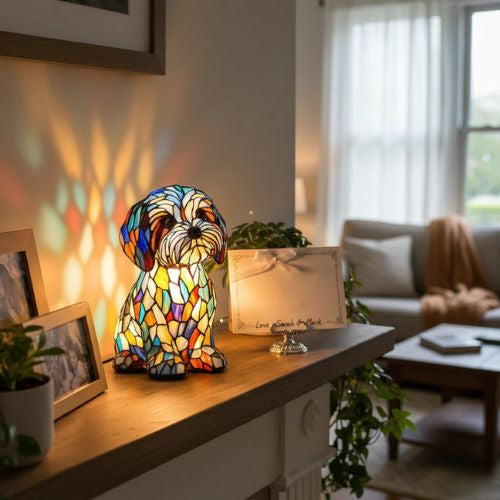 O Kouzlo Společnosti